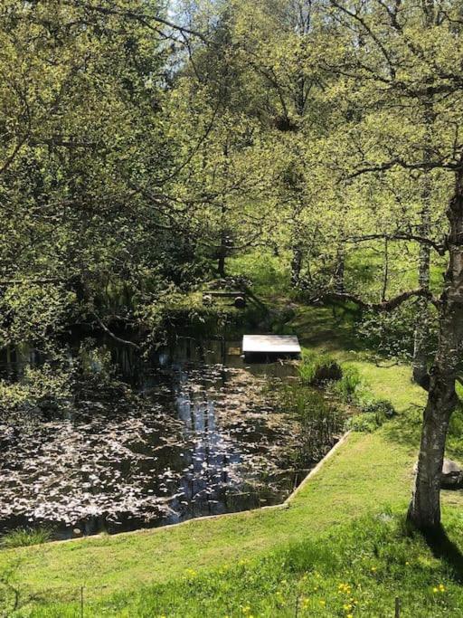 Exklusives Apartment Mit Schwimmbad Im Allgaeu Oy-Mittelberg Exterior photo